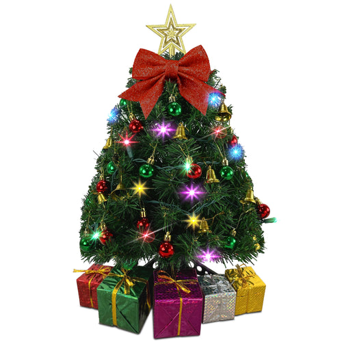 Small Christmas Tree with Multicolor Lights